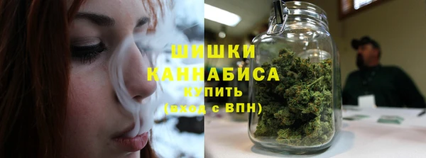 прущие грибы Бугульма