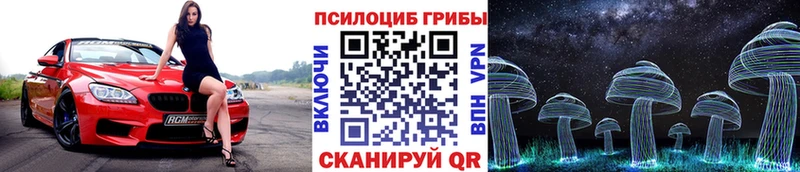 Псилоцибиновые грибы Cubensis  Кимры 